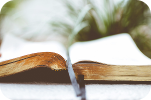 Common Primary Image